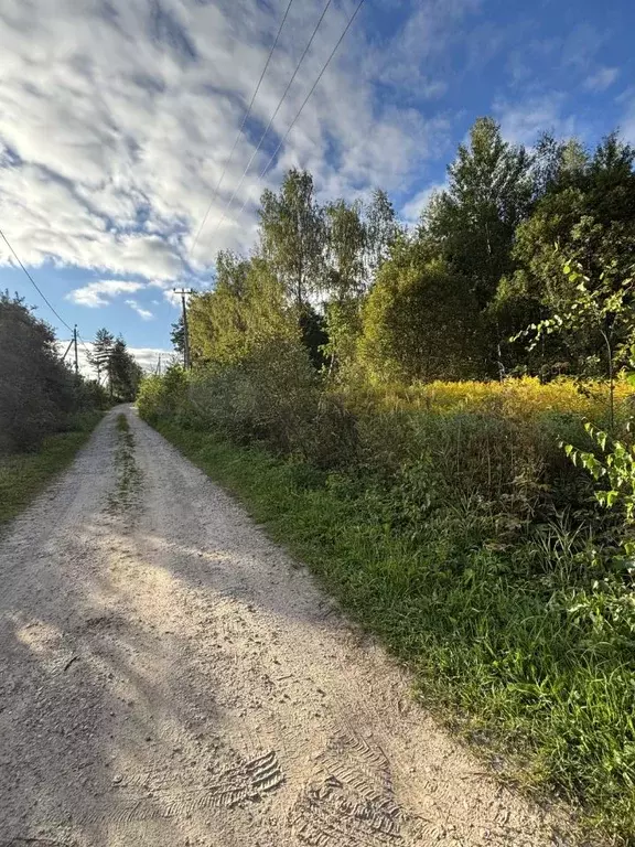 Участок в Калужская область, Калуга городской округ, д. Колюпаново ул. ... - Фото 2
