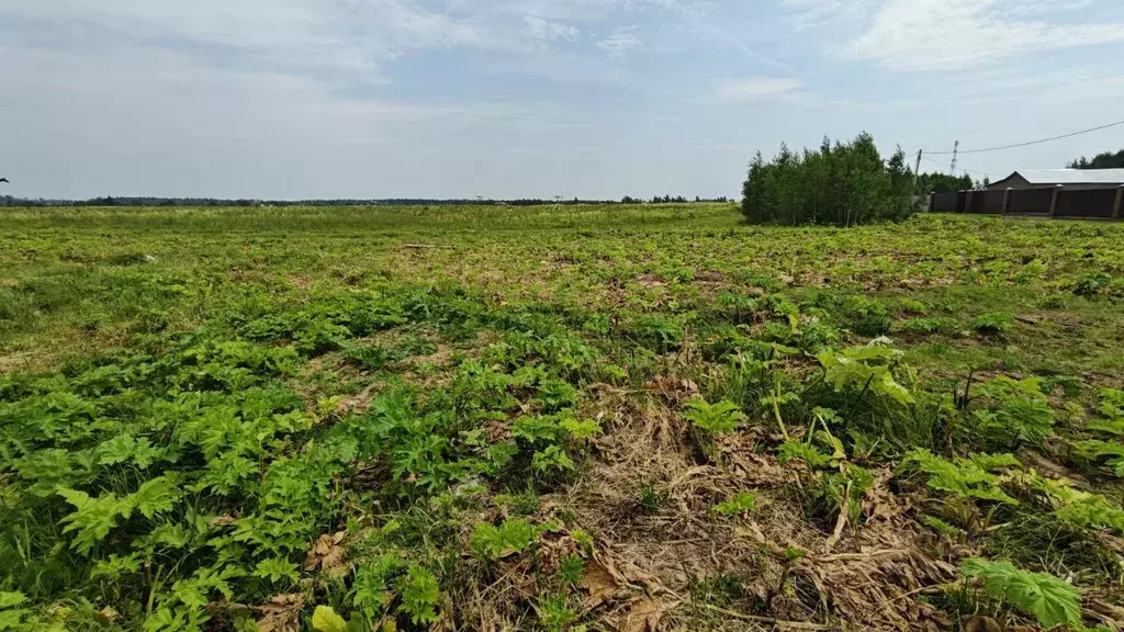Участок в Московская область, Рузский муниципальный округ, д. Неверово ... - Фото 1