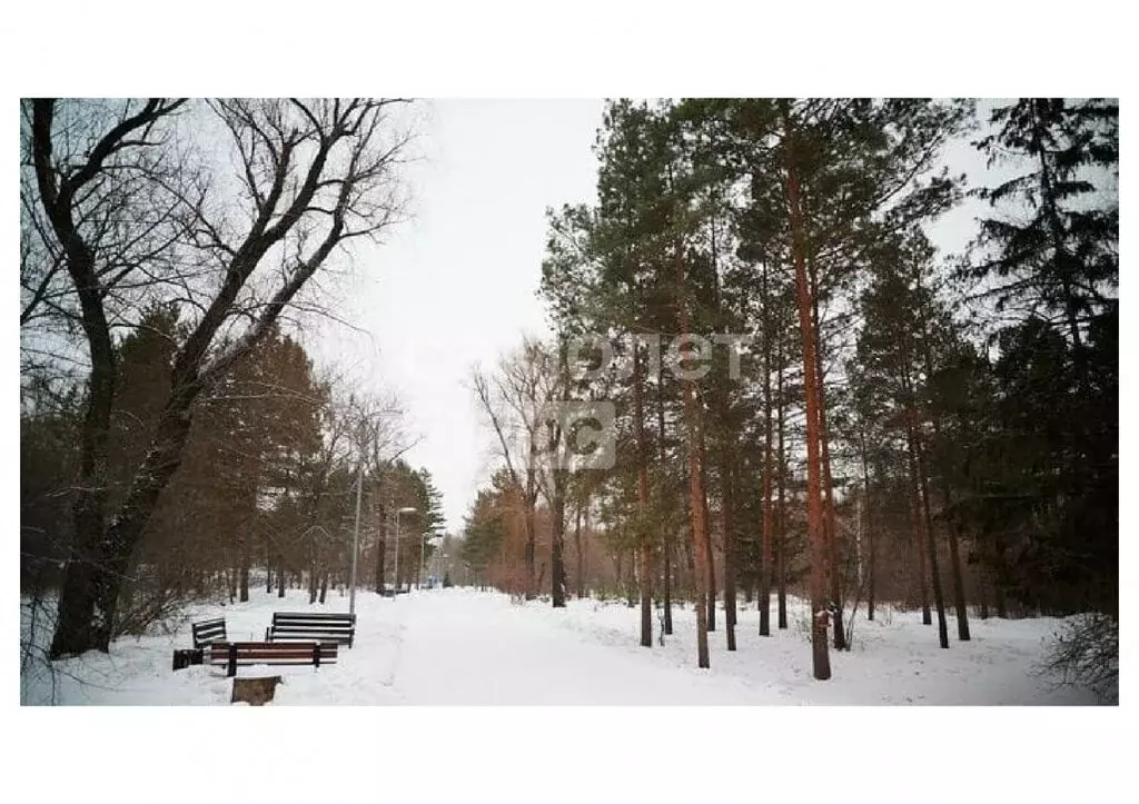 1-комнатная квартира: Омск, улица Красный Путь, 137/1 (38.2 м) - Фото 1