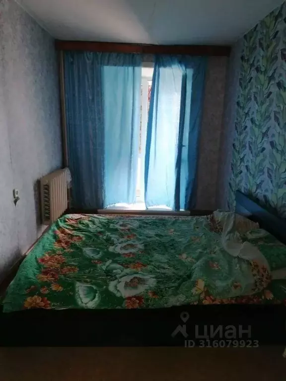 3-к кв. Еврейская автономная область, Биробиджан ул. Шолом-Алейхема, ... - Фото 1