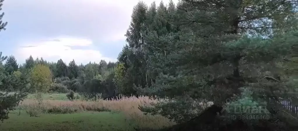 Участок в Московская область, Шатура муниципальный округ, д. ... - Фото 2