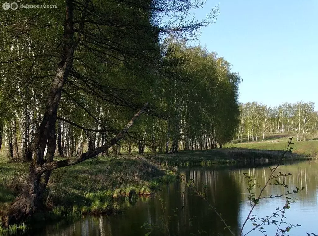 Участок в Московская область, городской округ Серпухов, деревня ... - Фото 1