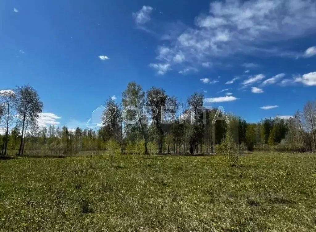 Участок в Тюменская область, Нижнетавдинский муниципальный округ, ... - Фото 2