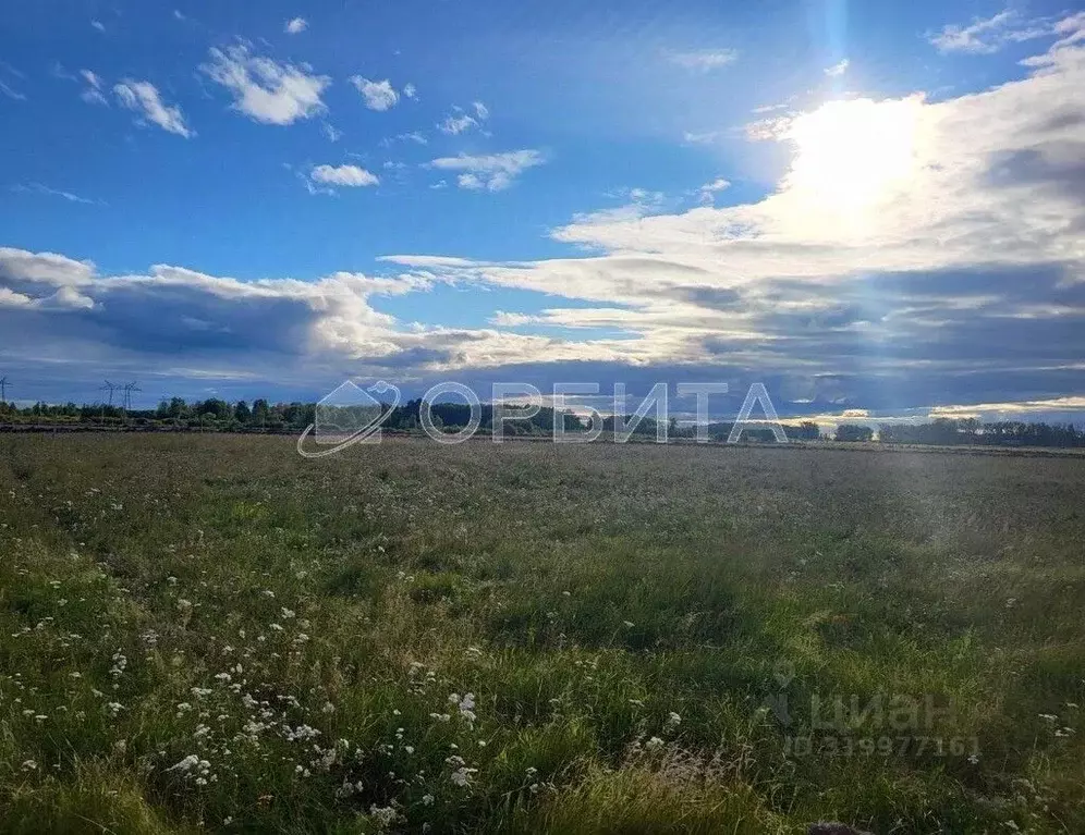 Участок в Тюменская область, Тюменский район, с. Щербак  (5.0 сот.) - Фото 1