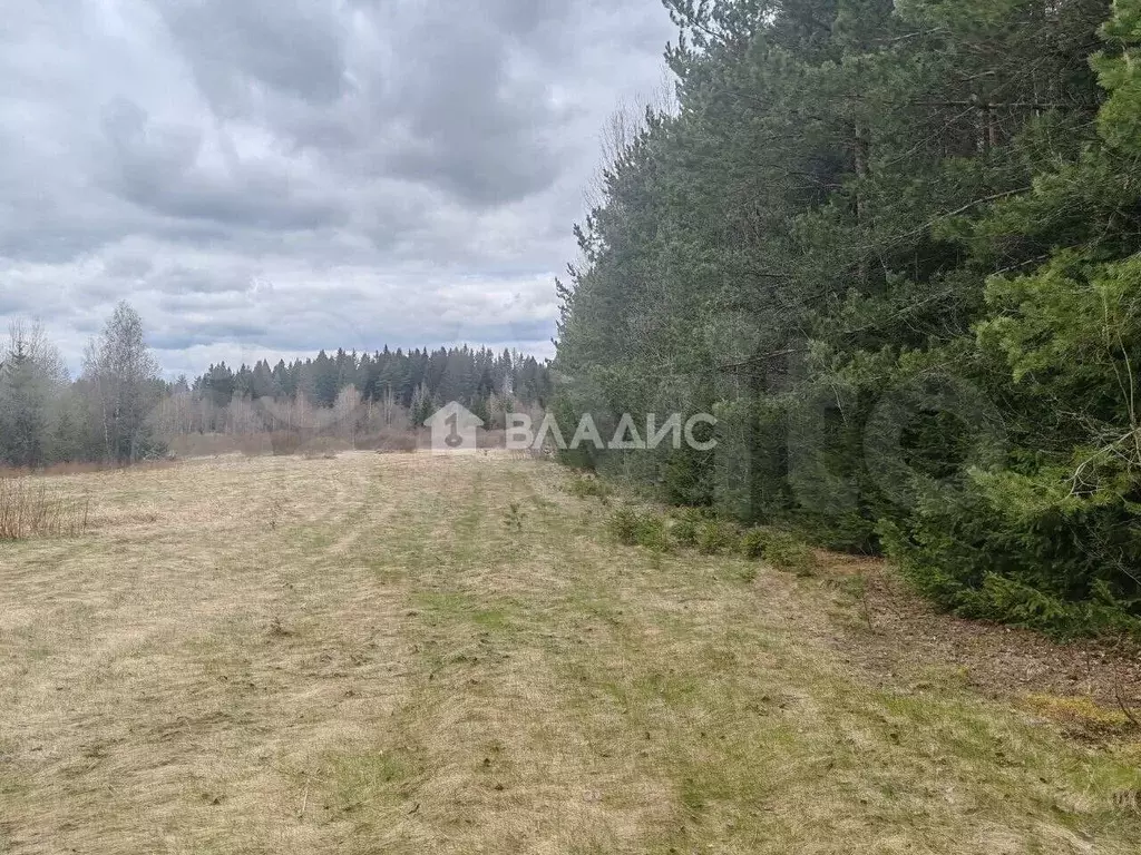 Участок 2,18 га (СНТ, ДНП) - Фото 1