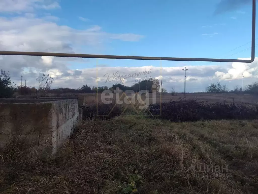 Участок в Воронежская область, Борисоглебский городской округ, с. ... - Фото 1