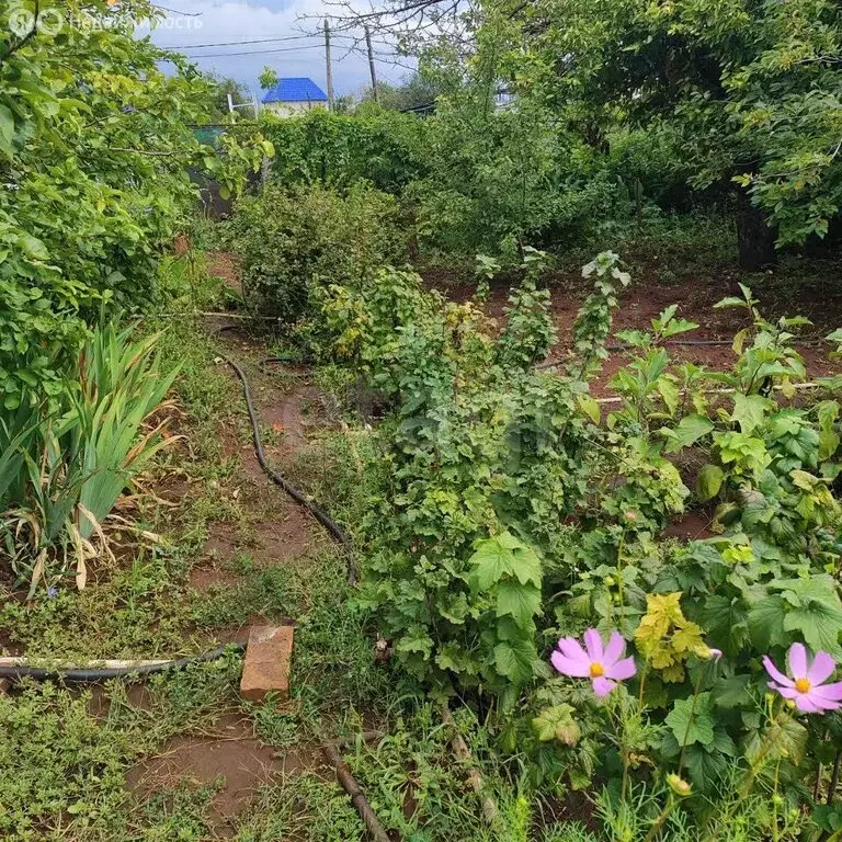 Участок в Оренбург, дачный массив Ростоши-1, СНТ Импульс (5 м) - Фото 1