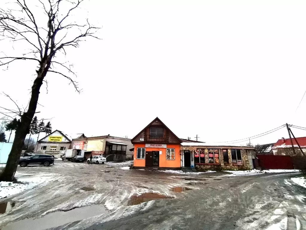 Торговая площадь в Ленинградская область, Гатчинский район, с. ... - Фото 1