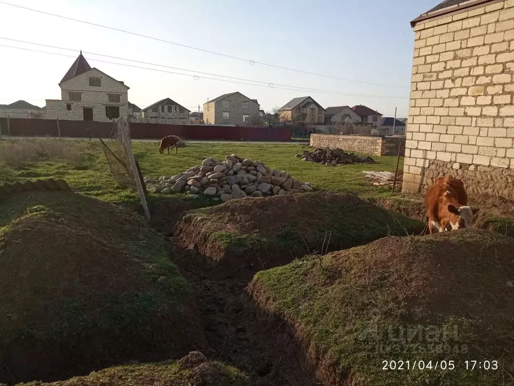 Участок в Дагестан, Дагестанские Огни ул. Василия Ивановича Чапаева, ... - Фото 1