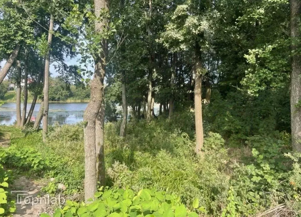 Участок в Калининградская область, Пионерский Заозерная ул. (5.6 сот.) - Фото 1