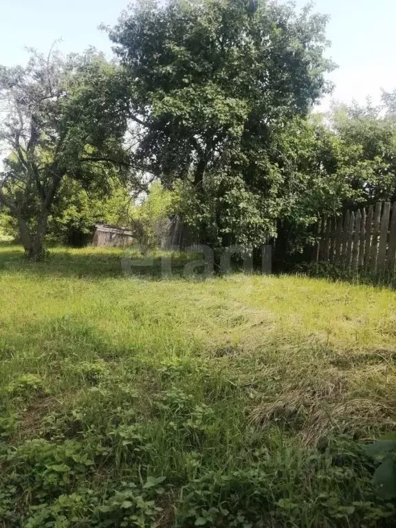 Дом в Владимирская область, Меленковский муниципальный округ, с. Ляхи ... - Фото 1