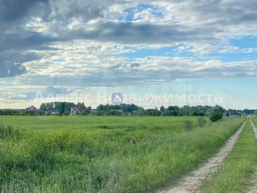 Участок в Тюменская область, Тюменский район, с. Каменка  (7.16 сот.) - Фото 1