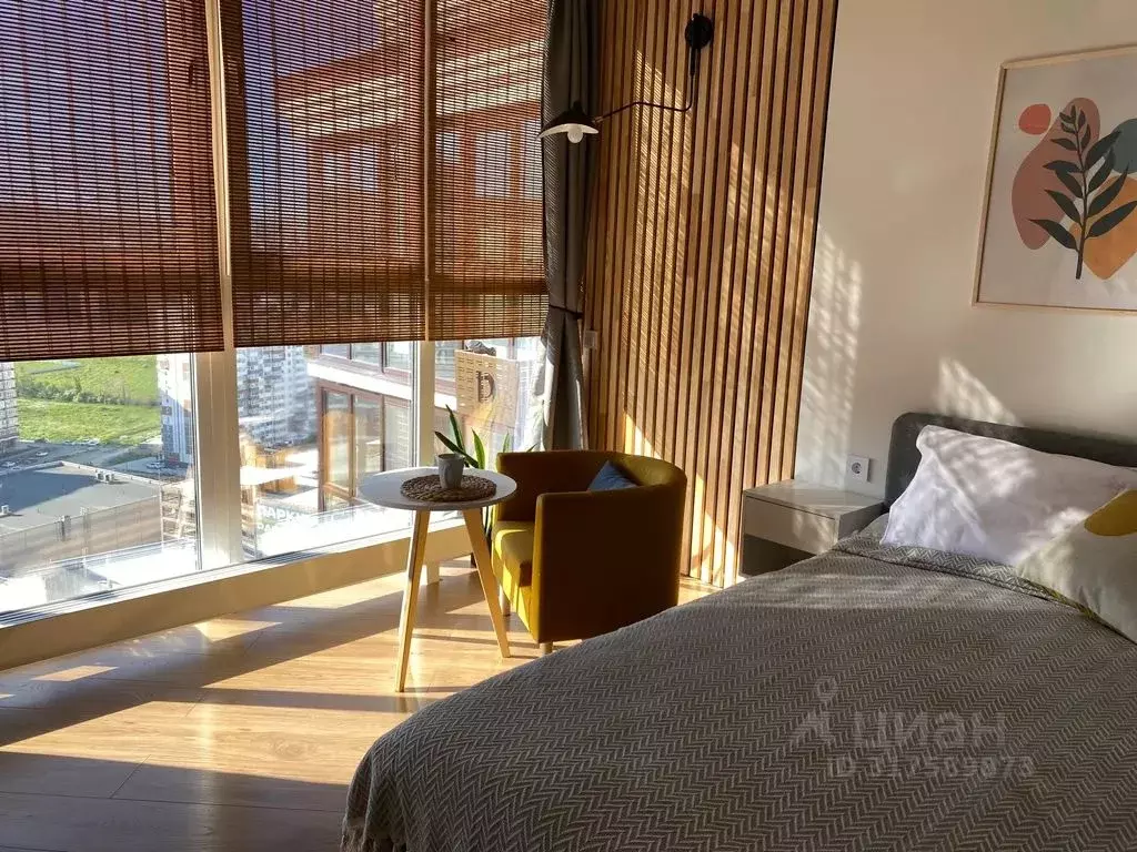 Студия Краснодарский край, Новороссийск ул. Котанова, 2 (25.0 м) - Фото 1