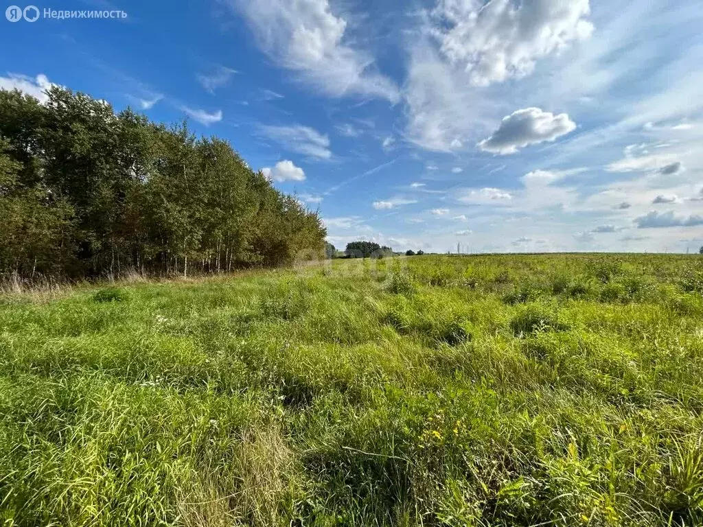 Участок в Московская область, городской округ Коломна, село Федосьино ... - Фото 1