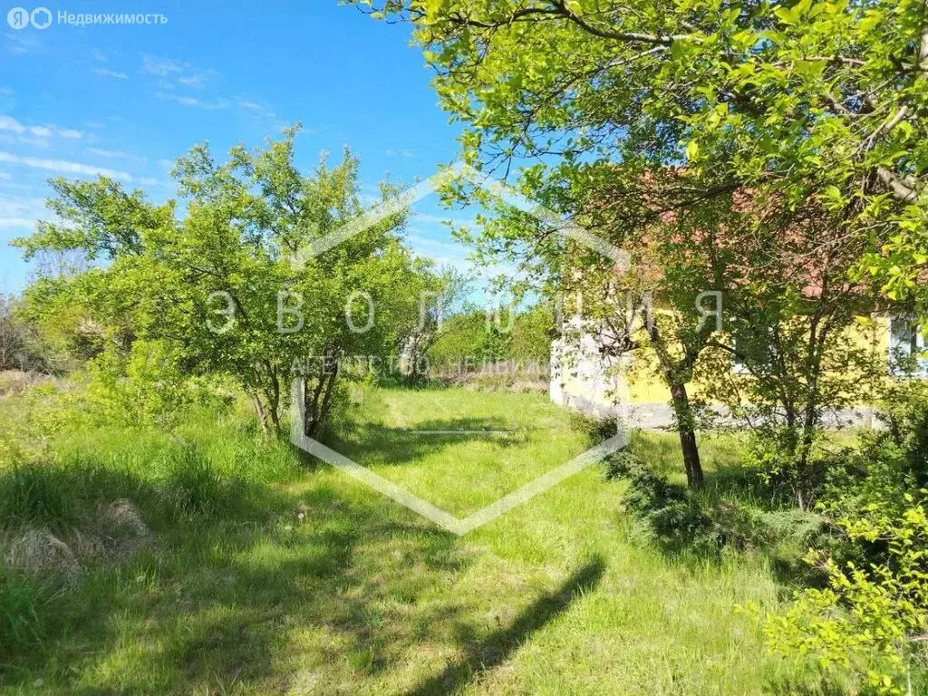 Дом в посёлок Нивенское, Калининградская улица, 17 (30 м) - Фото 1
