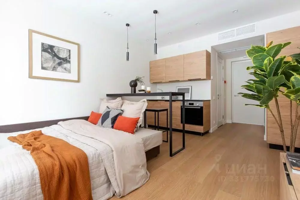 Студия Москва Автозаводская ул., 23Бк2 (22.0 м) - Фото 1