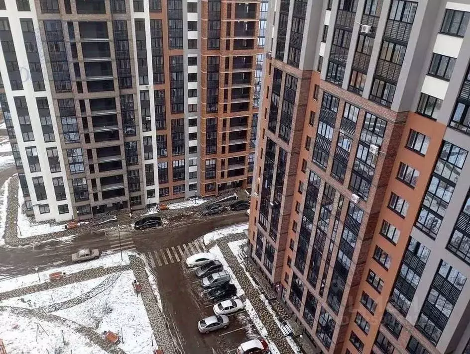 1-к кв. Воронежская область, Воронеж Острогожская ул., 156/3 (34.0 м) - Фото 2