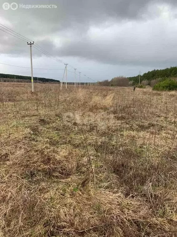 Участок в Республика Башкортостан, Бураевский сельсовет (10.1 м) - Фото 1