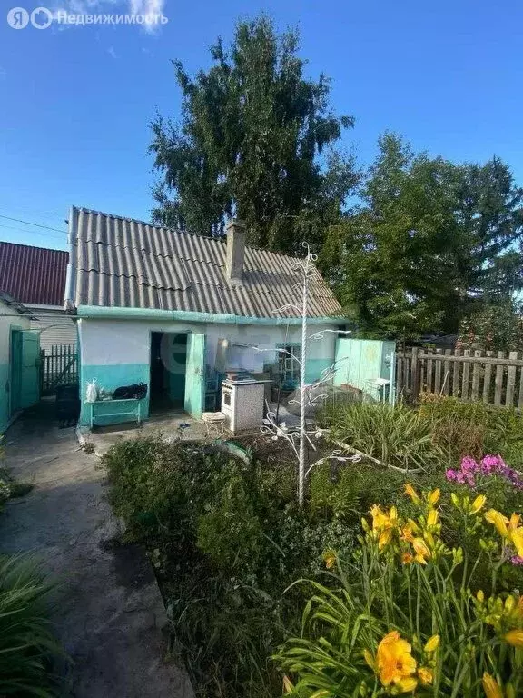 Дом в Новосибирск, садовое товарищество Ложок (30 м) - Фото 1