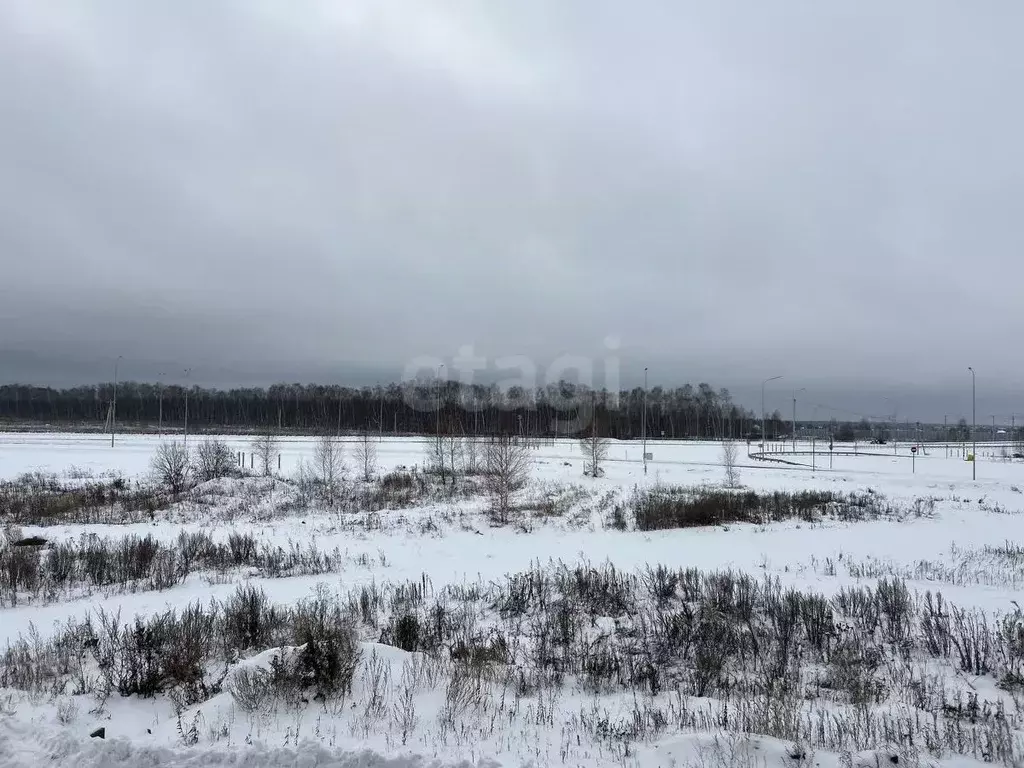 Студия Татарстан, Зеленодольский район, Осиновское с/пос, с. Осиново ... - Фото 1