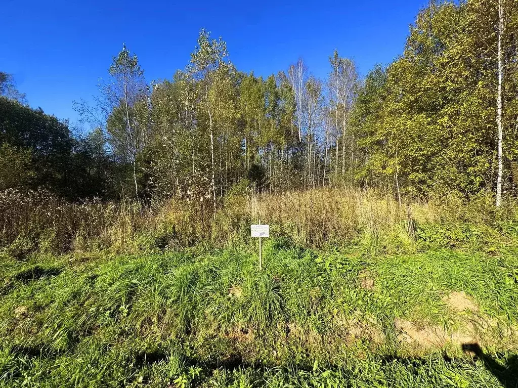 Участок в Московская область, Дмитровский муниципальный округ, Форест ... - Фото 0