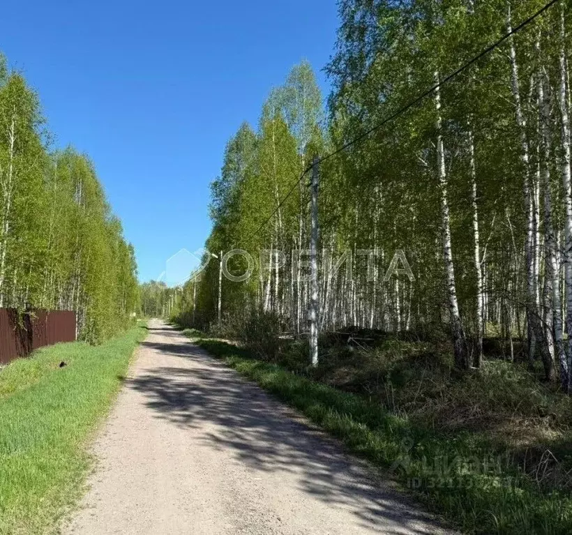 Участок в Тюменская область, Нижнетавдинский район, Березка СНТ ул. ... - Фото 1