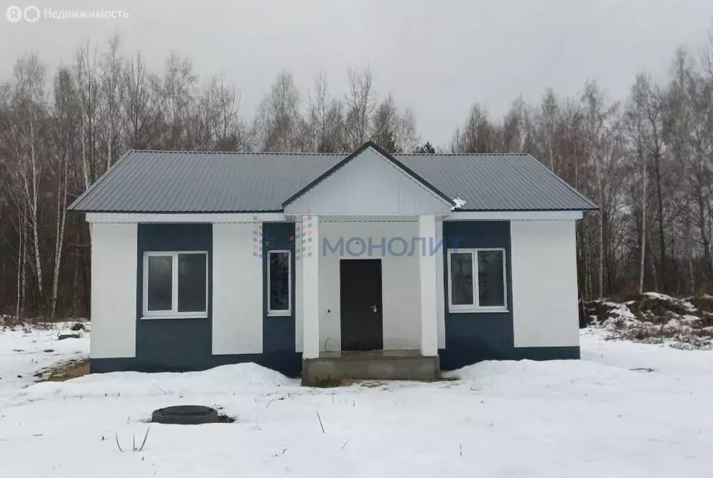 Дом в деревня Инютино, 2-я Луговая улица, 62 (80 м) - Фото 1