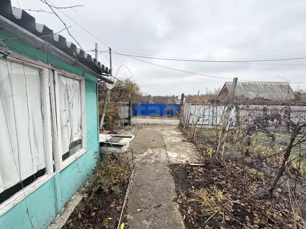 Дом в Белгородская область, Белгородский район, Головинское с/пос, ... - Фото 1