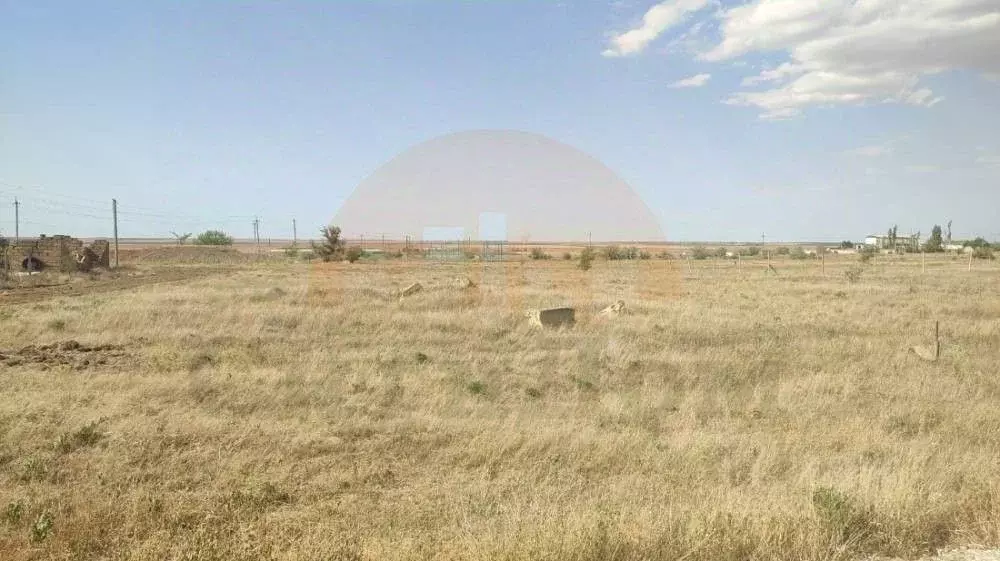 Участок в Крым, Сакский район, с. Митяево ул. Южная (10.0 сот.) - Фото 2