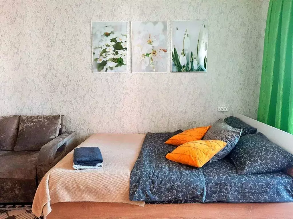 Студия Челябинская область, Чебаркуль ул. Заря, 29Б (30.0 м) - Фото 1