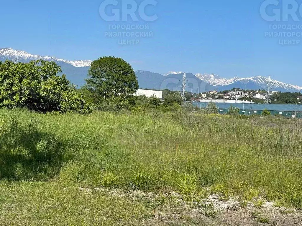 Участок в Краснодарский край, Сочи Суздальская ул. (1000.0 сот.) - Фото 0