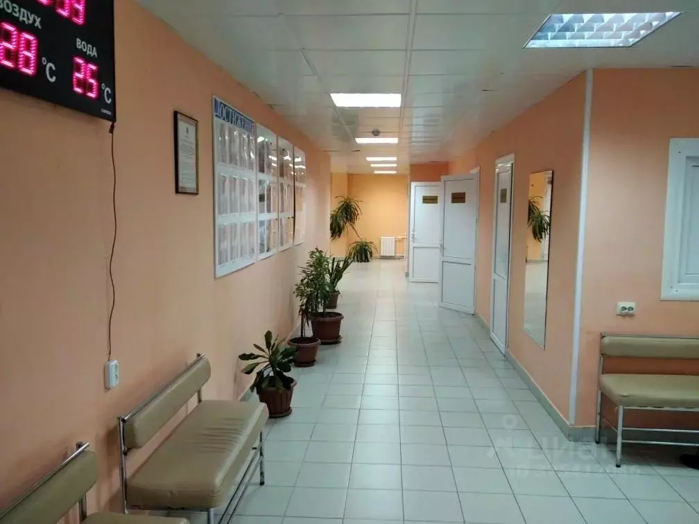 Помещение свободного назначения в Пензенская область, Городище ул. ... - Фото 2