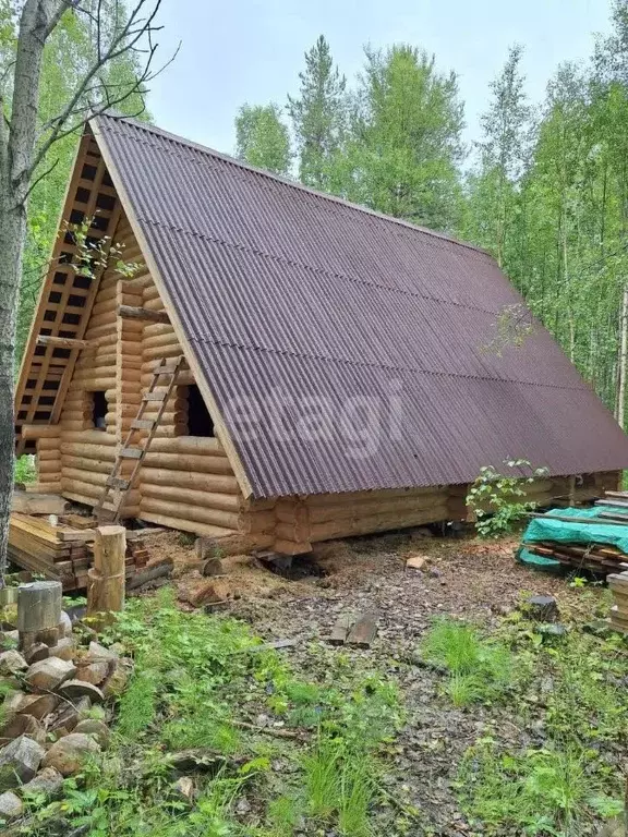 участок в карелия, лоухский район, кестеньгское с/пос, боровская тер. . - Фото 0