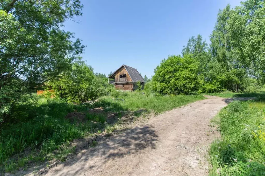 Участок в Тюменская область, Тобольский муниципальный округ, ... - Фото 2