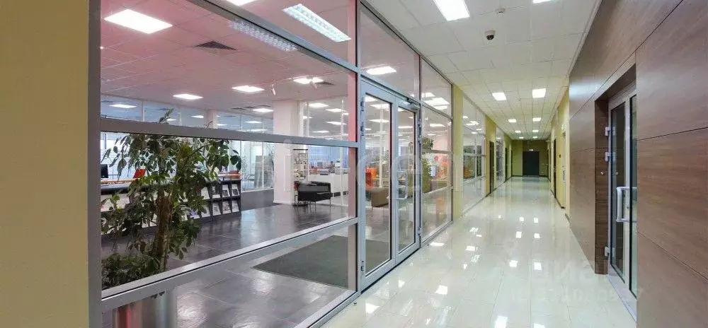 Офис в Московская область, Мытищи Центральная ул., с20Б (654 м) - Фото 2