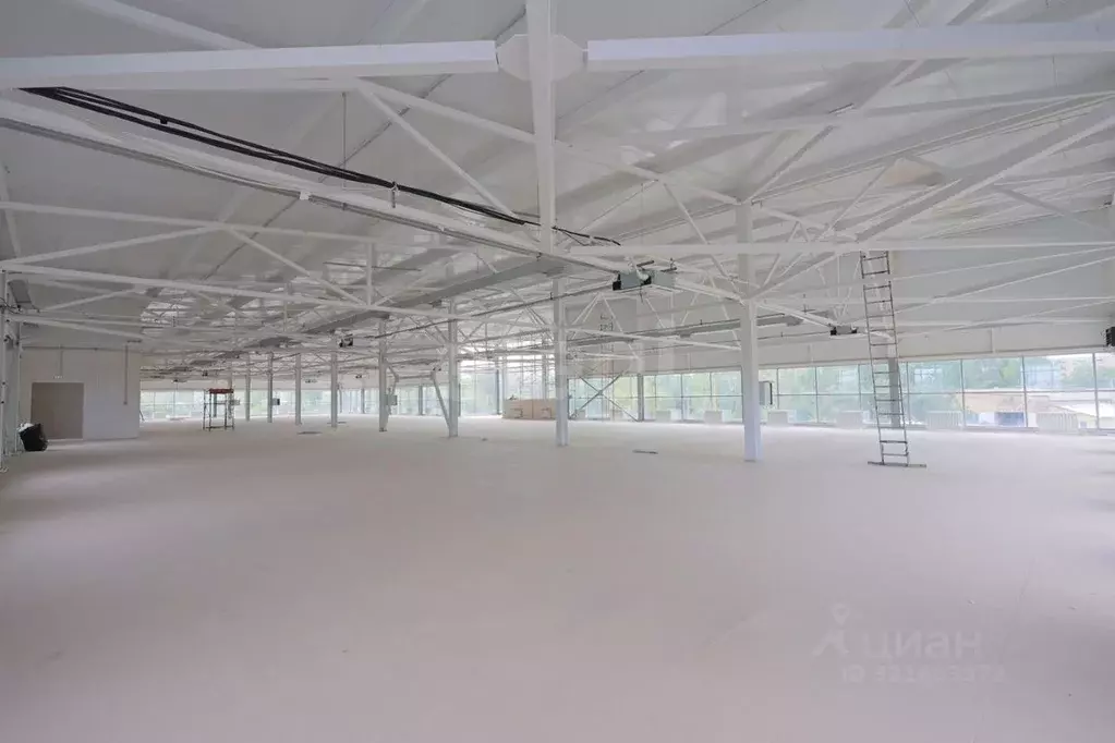 Торговая площадь в Оренбургская область, Оренбург Просторная ул., 17 ... - Фото 1