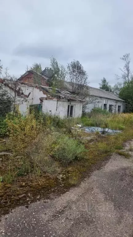 Склад в Московская область, Волоколамск Ямская ул., 14 (5000 м) - Фото 2