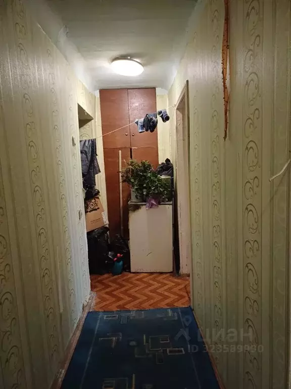 3-к кв. Нижегородская область, Нижний Новгород Московское ш., 175 ... - Фото 2