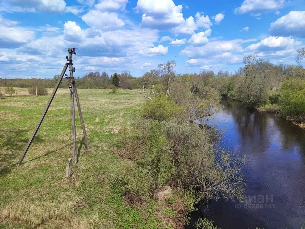 Участок в Новгородская область, Старорусский район, Ивановское с/пос, ... - Фото 0