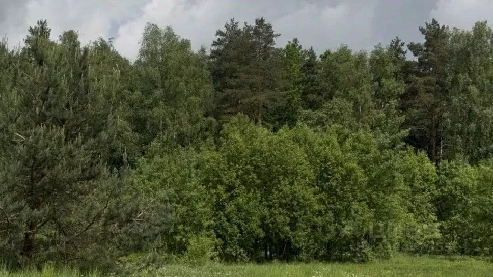 Участок в Московская область, Красногорск городской округ, д. ... - Фото 1