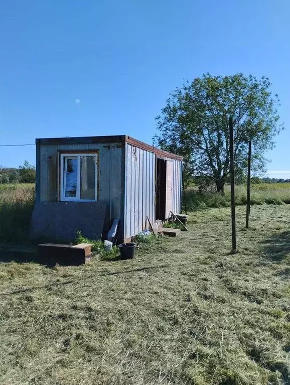 Участок в Ленинградская область, Кингисеппский район, Большелуцкое ... - Фото 2