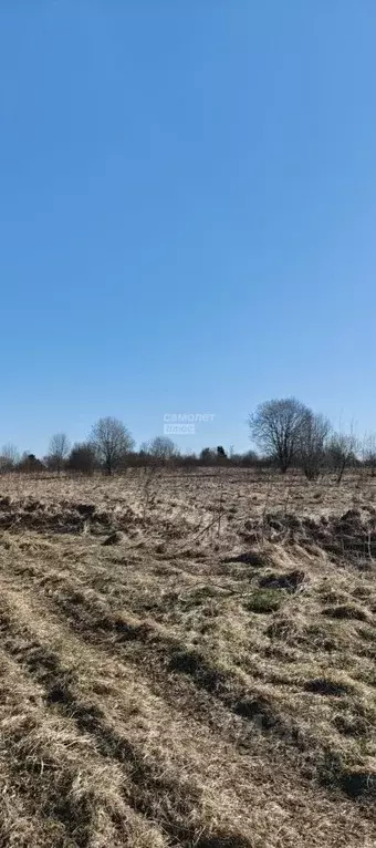 Участок в Ленинградская область, Тосненский район, Федоровское ... - Фото 1