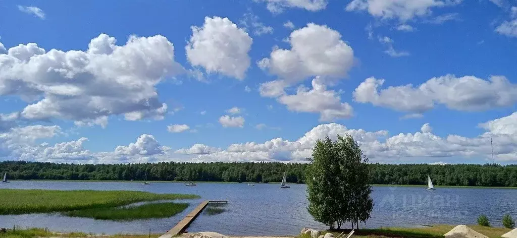 Дом в Карелия, Прионежский район, Заозерское с/пос, д. Ялгуба ул. ... - Фото 1