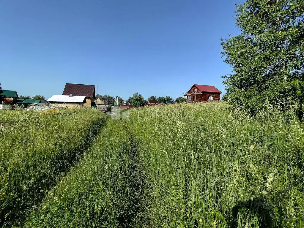 Участок в Новосибирская область, Новосибирский район, Раздольненский ... - Фото 0