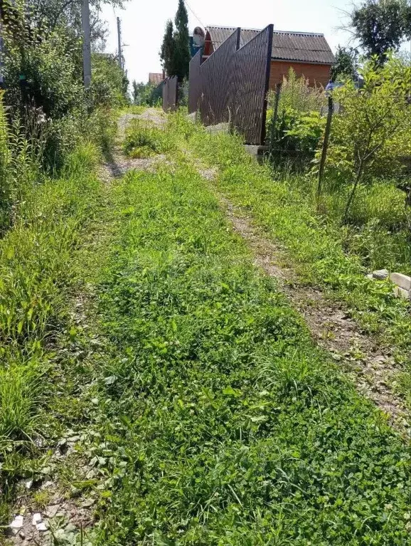 Участок в Нижегородская область, Нижний Новгород Победа СНТ, 41 (4.7 ... - Фото 1