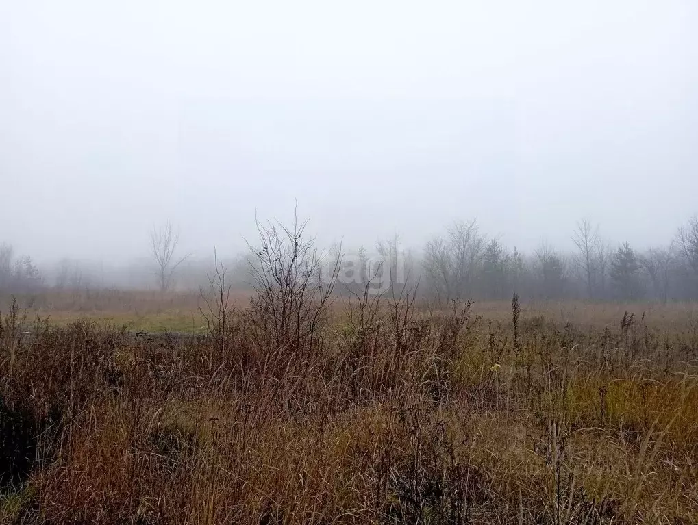 Участок в Воронежская область, Верхнехавский район, с. Углянец ул. ... - Фото 0