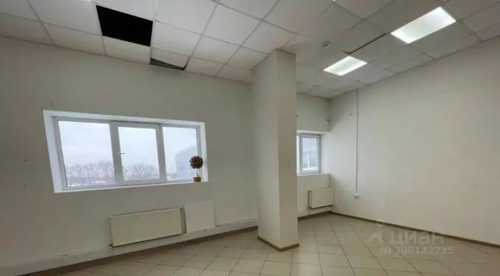 Помещение свободного назначения в Тульская область, Тула городской ... - Фото 1