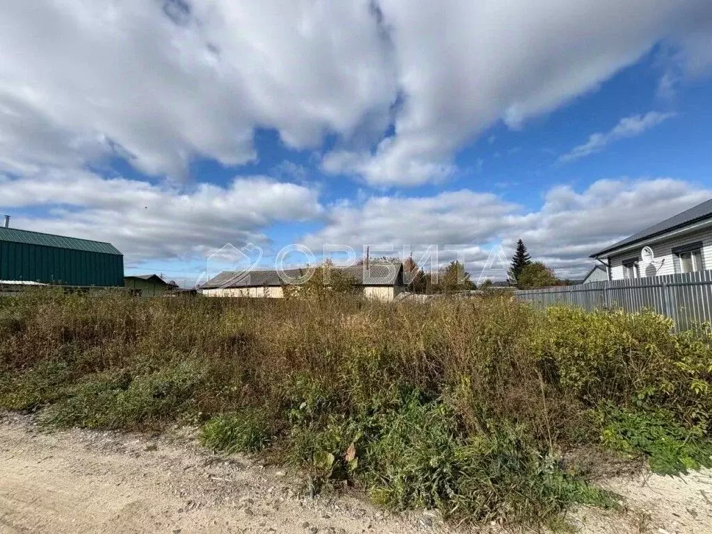 Участок в Тюменская область, Тюменский муниципальный округ, Винзили рп ... - Фото 2