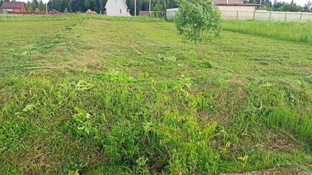 Участок в Московская область, Можайский муниципальный округ, Парк ... - Фото 1