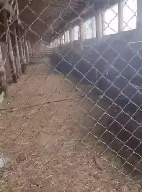 Дом в Ивановская область, Южский район, Мугреево-Никольское с/пос, с. ... - Фото 2